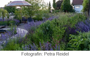 Klimagarten