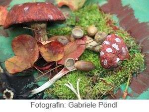 Pilze