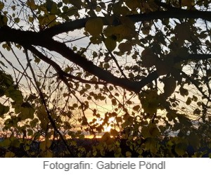 Waldbaden
