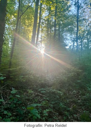 Waldbaden